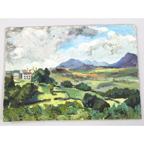 805 - 20th century impressionist landscape, oil on board, monogram verso CF, 35cm x 49cm, unframed