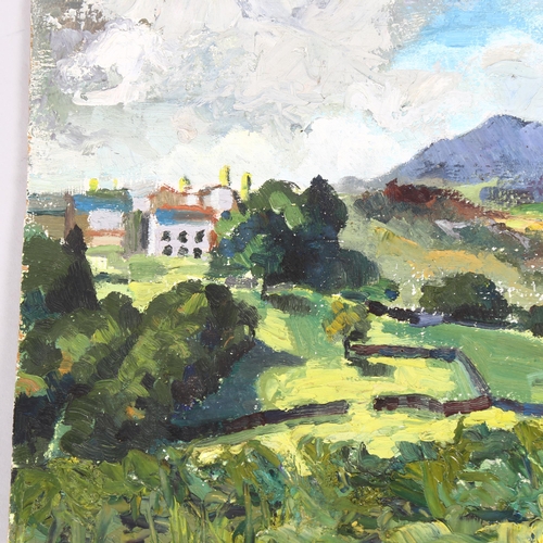 805 - 20th century impressionist landscape, oil on board, monogram verso CF, 35cm x 49cm, unframed