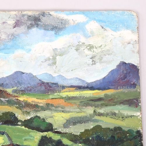 805 - 20th century impressionist landscape, oil on board, monogram verso CF, 35cm x 49cm, unframed