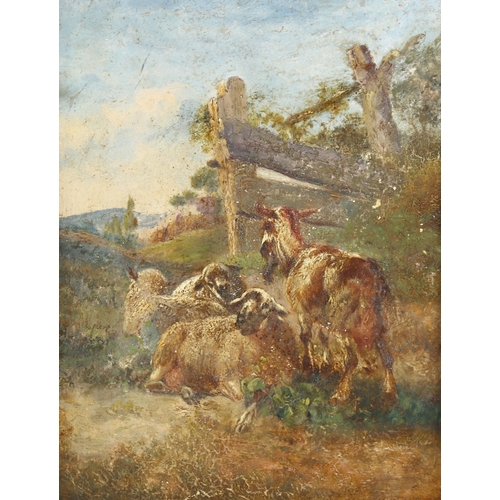 826 - 19th century oil on board, sheep and goat by a fence, indistinctly signed, 12