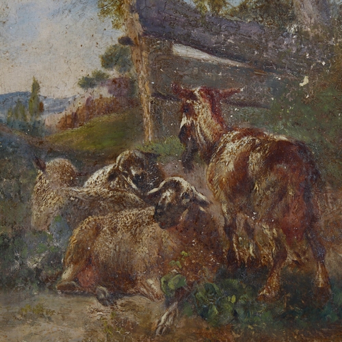 826 - 19th century oil on board, sheep and goat by a fence, indistinctly signed, 12