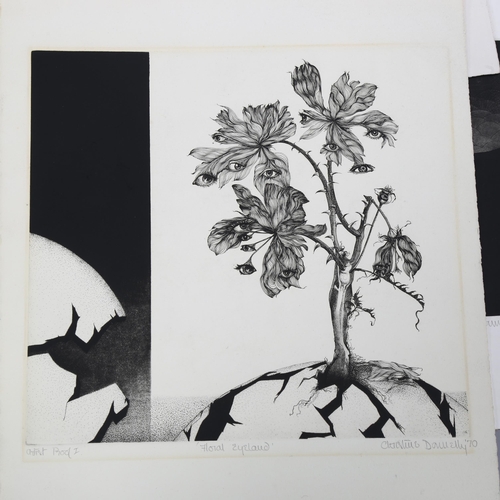 846 - A group of various etchings and prints, including works by Janet Treby and C Donnelly (9)