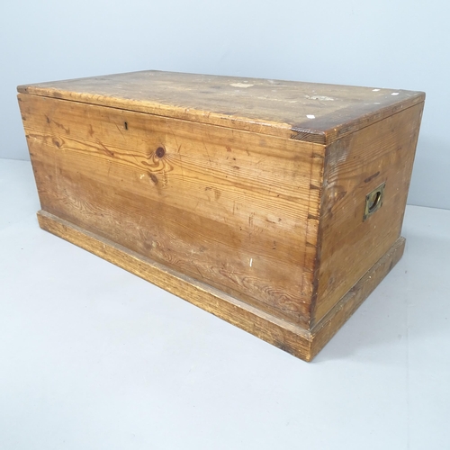 2008 - A vintage stained pine trunk, with campaign style brass handles. 99x45x52cm.