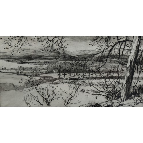 714 - Malcolm Osborne (1880-1963), aquatint on paper, The Veil of Spring, Windermere (1949), 21cm x 39.5cm... 