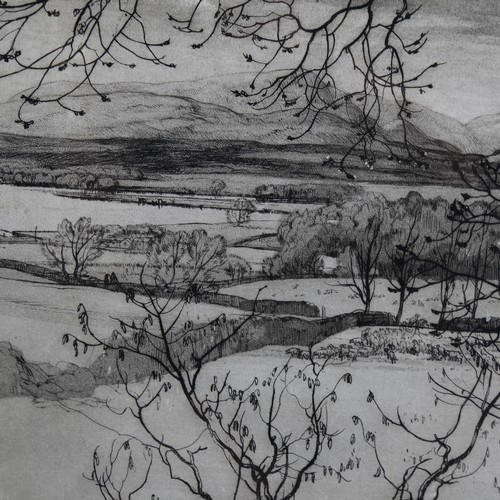 714 - Malcolm Osborne (1880-1963), aquatint on paper, The Veil of Spring, Windermere (1949), 21cm x 39.5cm... 