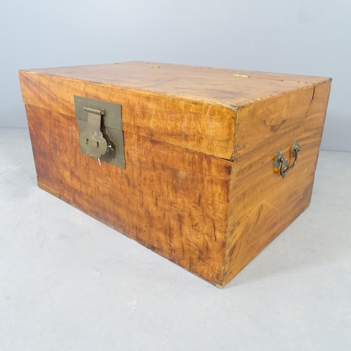 2558 - A Chinese camphorwood chest. 91x47x59cm