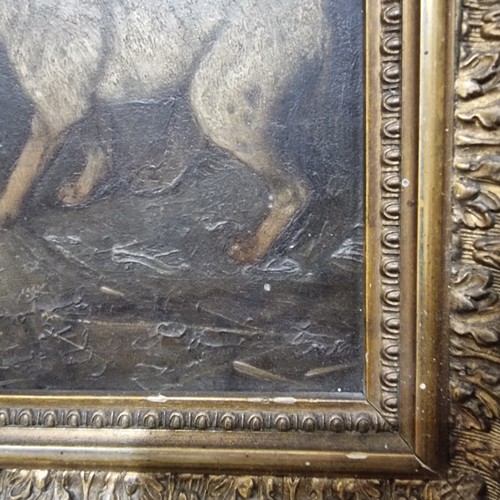 745 - 19th century oil on wood panel, hound and puppies, signed with monogram AW, 24cm x 40cm, framed