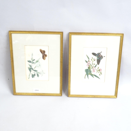 2860 - A pair of Chinese watercolours on rice paper, butterfly and flowers, 34cm x 26cm overall, framed