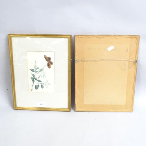 2860 - A pair of Chinese watercolours on rice paper, butterfly and flowers, 34cm x 26cm overall, framed