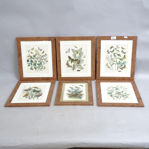 2883 - A group of 6 framed coloured plates depicting butterflies