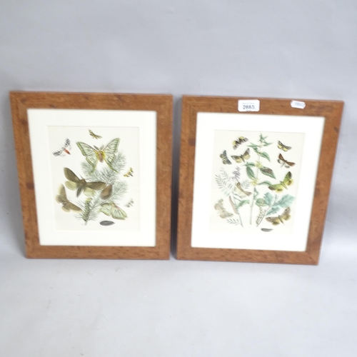 2883 - A group of 6 framed coloured plates depicting butterflies