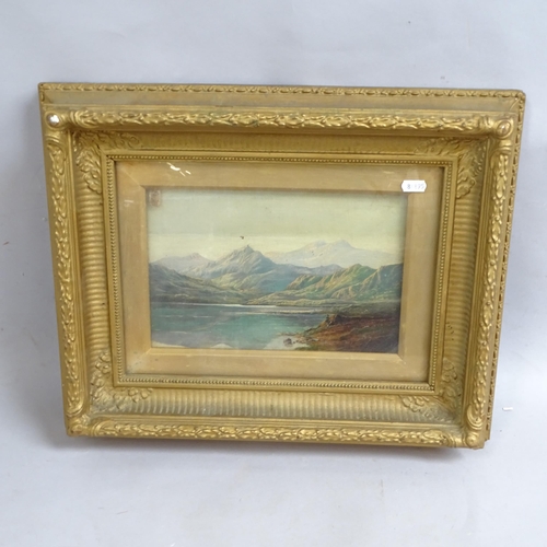 2903 - Oil on canvas, panoramic mountain landscape, unsigned, 40cm x 51cm, gilt-framed, and a 19th century ... 