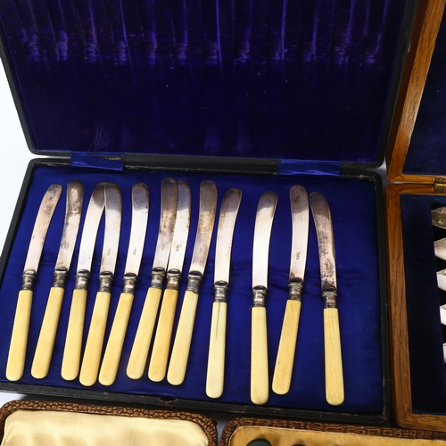 1103 - 4 various cased sets of cutlery, including a set of 12 ivorine-handled butter knives, fish cutlery f... 