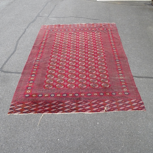2341 - A large red ground Afghan carpet. 378 x 279cm.
