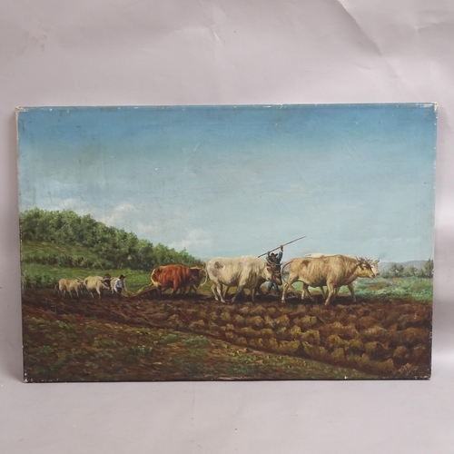 2951 - Large oil on canvas, view of cows ploughing the land, 92cm x 61cm