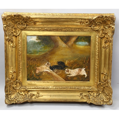 1018 - Follower of George Armfield, 3 Terriers, oil on panel, signed with monogram, 27cm x 36cm, framed