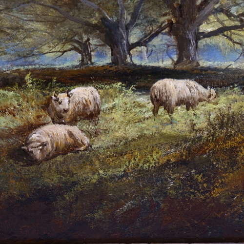 704 - 19th century English School, sheep in wooded landscape, oil on canvas, indistinctly signed, 38cm x 5... 