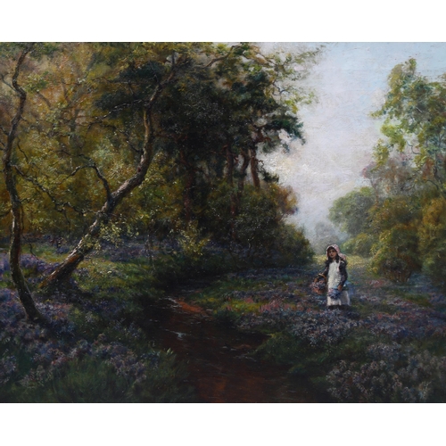 728 - F Dickson, bluebells, oil on canvas, signed, 45cm x 60cm, framed