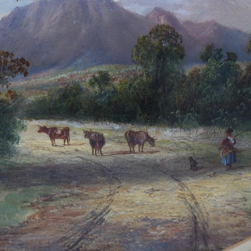 749 - 19th century oval oil on board, cattle in landscape, unsigned, 35cm x 45cm, framed and glazed