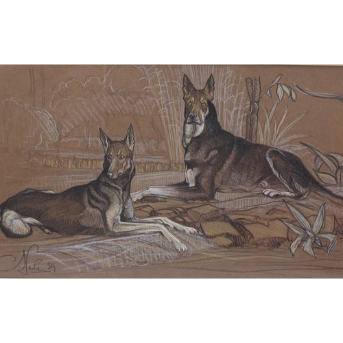 764 - C J Parker, portrait of 2 Alsatians, charcoal/chalk on brown paper, signed and dated '39, 28cm x 48c... 