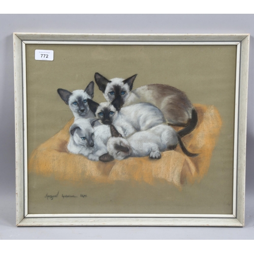 772 - Margaret Anderson, a group of Siamese cats, coloured pastels, signed, 36cm x 44cm, framed