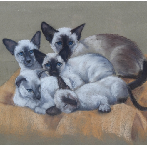 772 - Margaret Anderson, a group of Siamese cats, coloured pastels, signed, 36cm x 44cm, framed