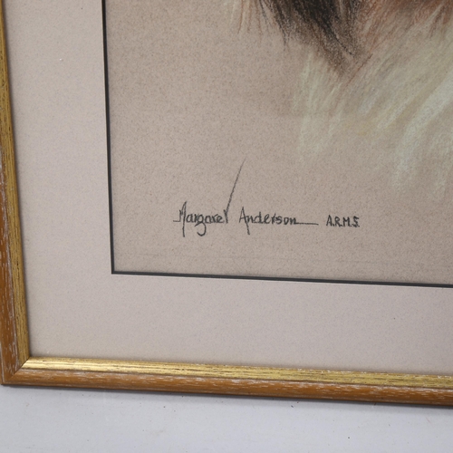 774 - Margaret Anderson, portrait of a Pekinese dog, coloured pastels, signed, 36cm x 30cm, framed