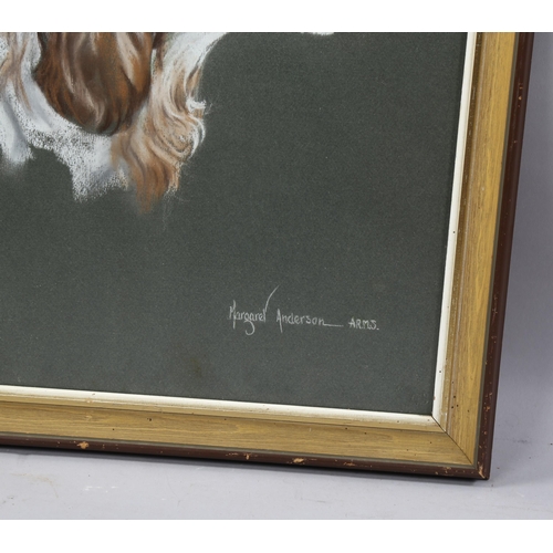 775 - Margaret Anderson, portrait of a Pointer dog, coloured pastels, signed, 44cm x 32cm, framed