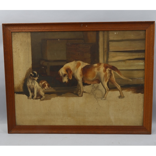 776 - Late 19th/early 20th century oil on canvas, sketch, group study of dogs and puppies, unsigned, 55cm ... 