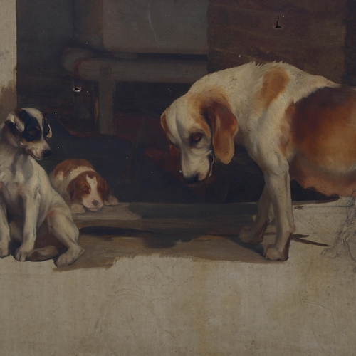 776 - Late 19th/early 20th century oil on canvas, sketch, group study of dogs and puppies, unsigned, 55cm ... 