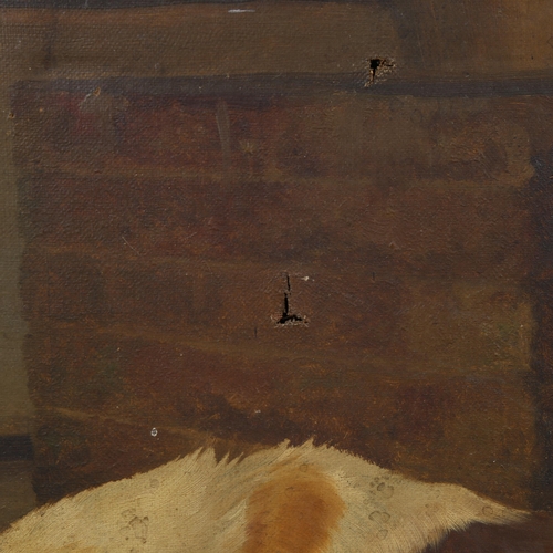 776 - Late 19th/early 20th century oil on canvas, sketch, group study of dogs and puppies, unsigned, 55cm ... 