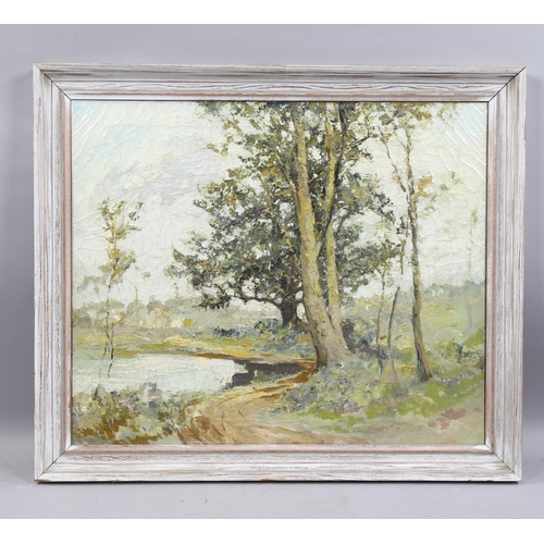 784 - 20th century oil on canvas, rural landscape, unsigned, 50cm x 60cm, framed