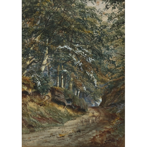 862 - 19th century watercolour, country road, unsigned, 34cm x 24cm, framed