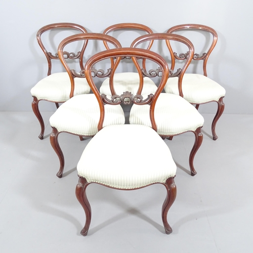 2199 - A set of six Victorian mahogany balloon back dining chairs, recently re-upholstered.