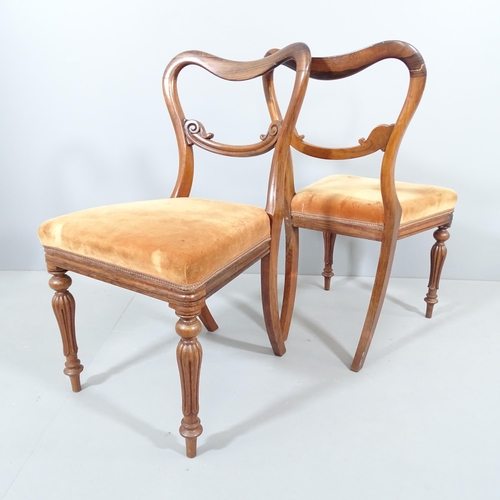 2224 - A set of four Victorian rosewood and upholstered balloon back dining chairs.