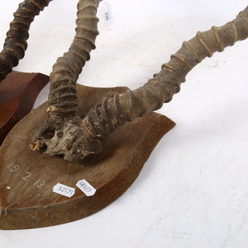 330 - TAXIDERMY - 2 pairs of mounted antlers on shield plaques, dated 24th January 1913 and 19th February ... 