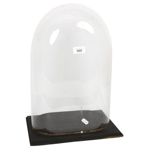 560 - A modern glass dome, on fitted wooden display stand, dome height including stand 43cm, length 31cm, ... 