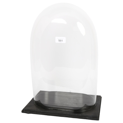 561 - A modern glass dome, on fitted wooden display stand, height including display stand 43cm, length 31c... 