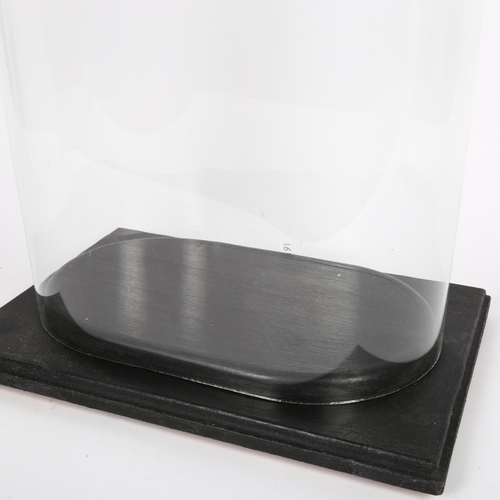 561 - A modern glass dome, on fitted wooden display stand, height including display stand 43cm, length 31c... 