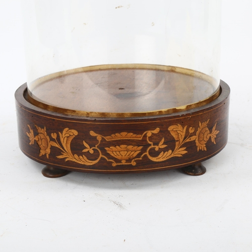 116 - A Victorian glass dome on original rosewood and marquetry inlaid stand, overall height 54cm