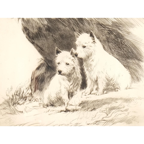 432 - George Soper (1870 - 1942), 2 West Highland white Terriers, drypoint etching 1925, signed in pencil,... 