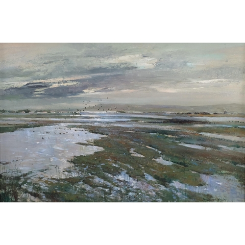 455 - Errol Boyley (1918 - 2007), marshland scene, oil on board, signed, 50cm x 75cm, framed