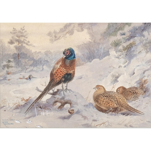 467 - After Archibald Thorburn, pheasant in winter, watercolour, signed with monogram AWA 1927, 18cm x 24c... 