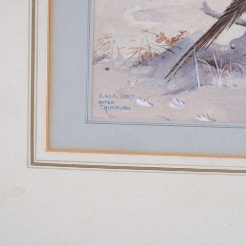 467 - After Archibald Thorburn, pheasant in winter, watercolour, signed with monogram AWA 1927, 18cm x 24c... 