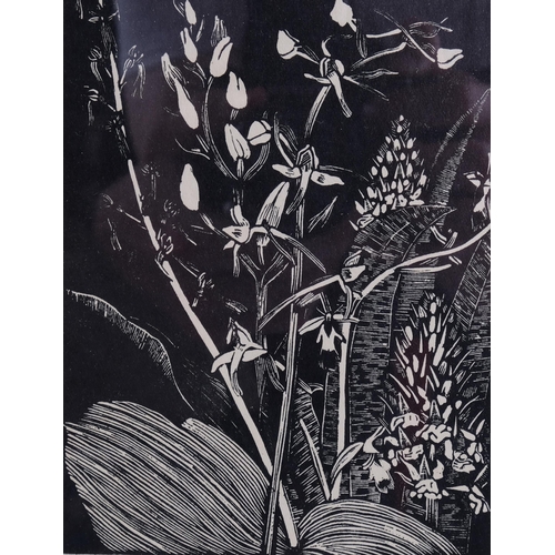 480 - John Nash (1893-1977), wood engraving on paper, Orchids, 14cm x 10.5 cm, mounted, glazed and framed.... 