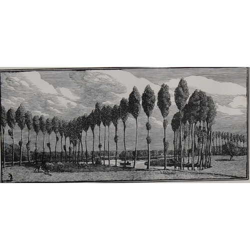 488 - Gwen Raverat (1885-1957), wood engraving on paper, Poplars in France (1916), 8.4cm x 18cm, from the ... 