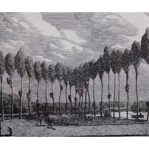 488 - Gwen Raverat (1885-1957), wood engraving on paper, Poplars in France (1916), 8.4cm x 18cm, from the ... 