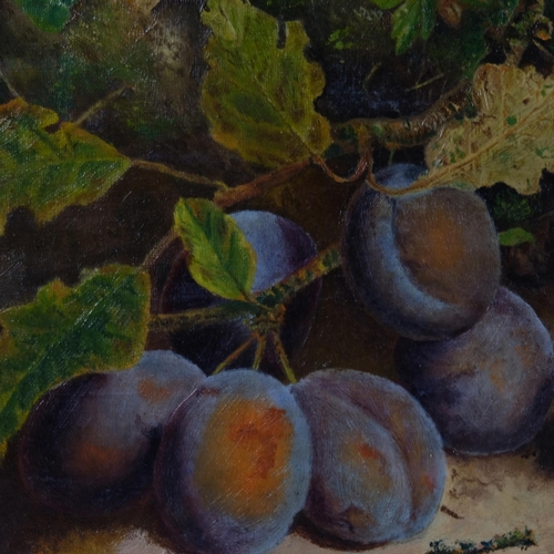 493 - Alfred William Strutt (1856-1924), oil on canvas, Plums and Apple, monogrammed and dated 1889 lower ... 