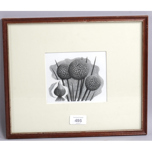 495 - George Mackley (1900-1983), wood engraving on paper, Onion Flowers, from the suite Weeds and Wild Fl... 