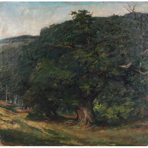 515 - Wilhelm Ritterbach (born 1878), the oak tree, oil on canvas, signed, 80cm x 80cm, unframed